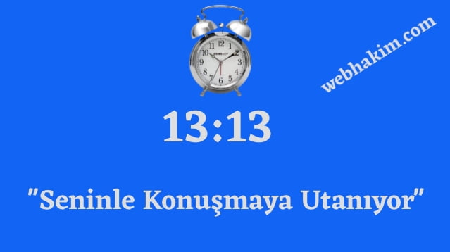 13.13 hours meaning 2020