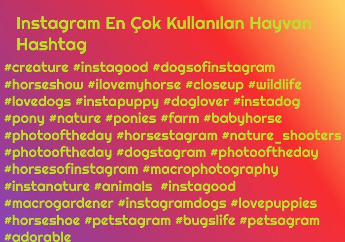 Instagram'da En Çok Kullanılan Hayvan Hashtag'i