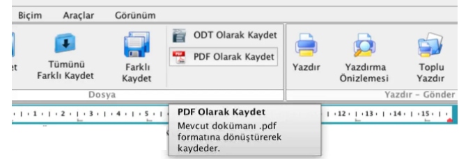 UDF'den PDF'ye